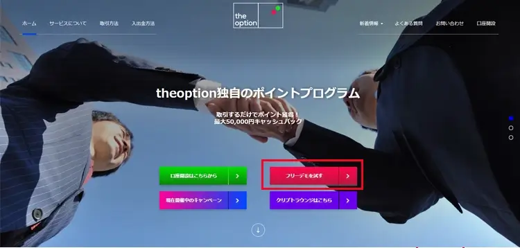 TheOption1